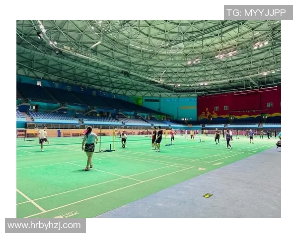 羽毛球赛事场馆环境因素对运动员竞技表现的影响与分析